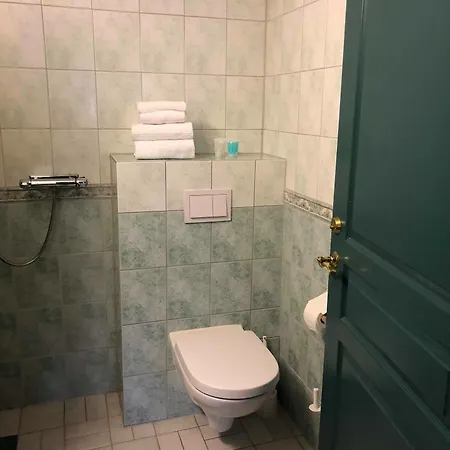 Trudvang Gjestegaard Zajazd 3*