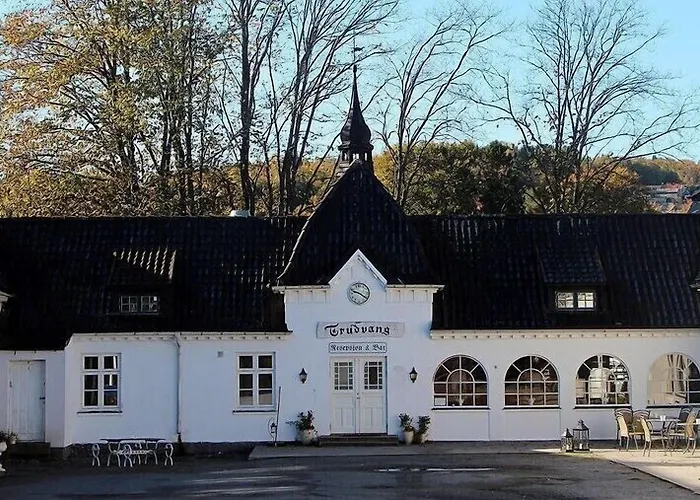 Trudvang Gjestegaard Han/Misafirhane 3*