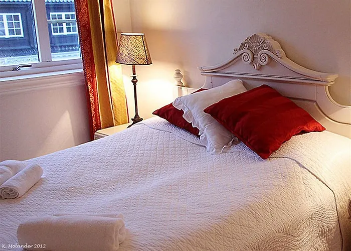 Trudvang Gjestegaard Han/Misafirhane Larvik